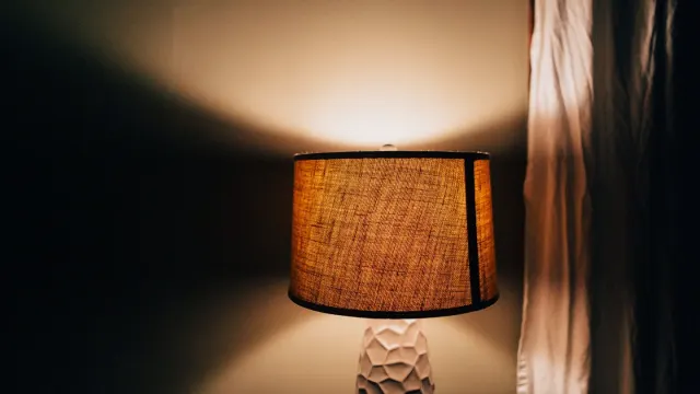 A dog lying calmly on a bed in a dimly lit room at night