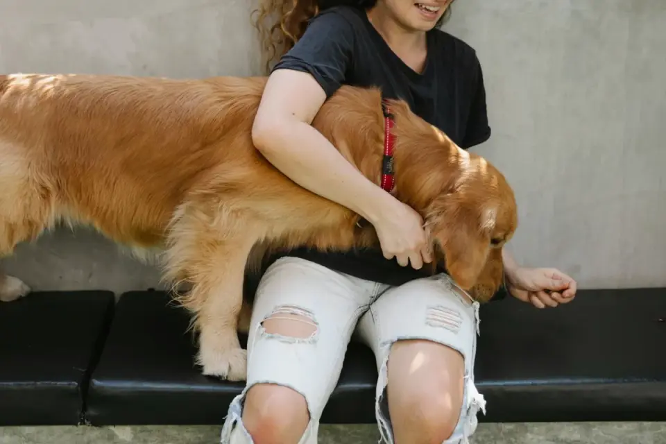 A dog owner offering a chewable joint supplement to their dog at home