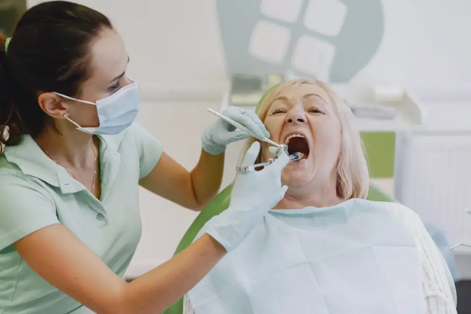 A veterinarian checking a senior dog&#x27;s teeth during an exam