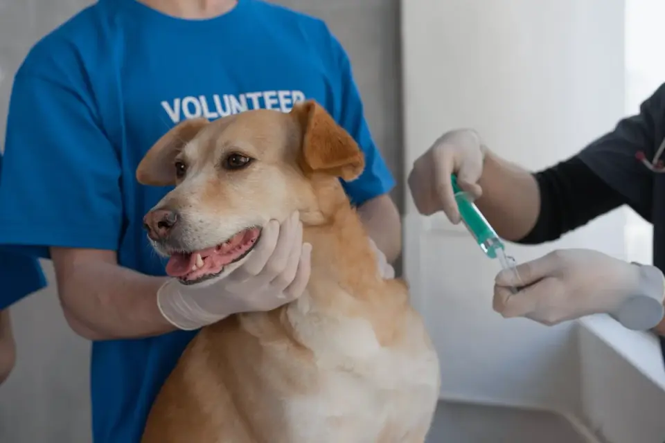 A veterinarian pointing to ingredient amounts on a dog supplement label