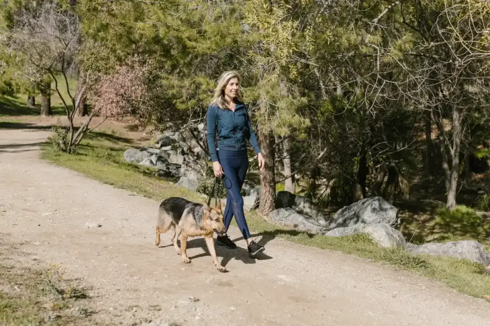 An older dog on a leash walking up a gentle outdoor incline