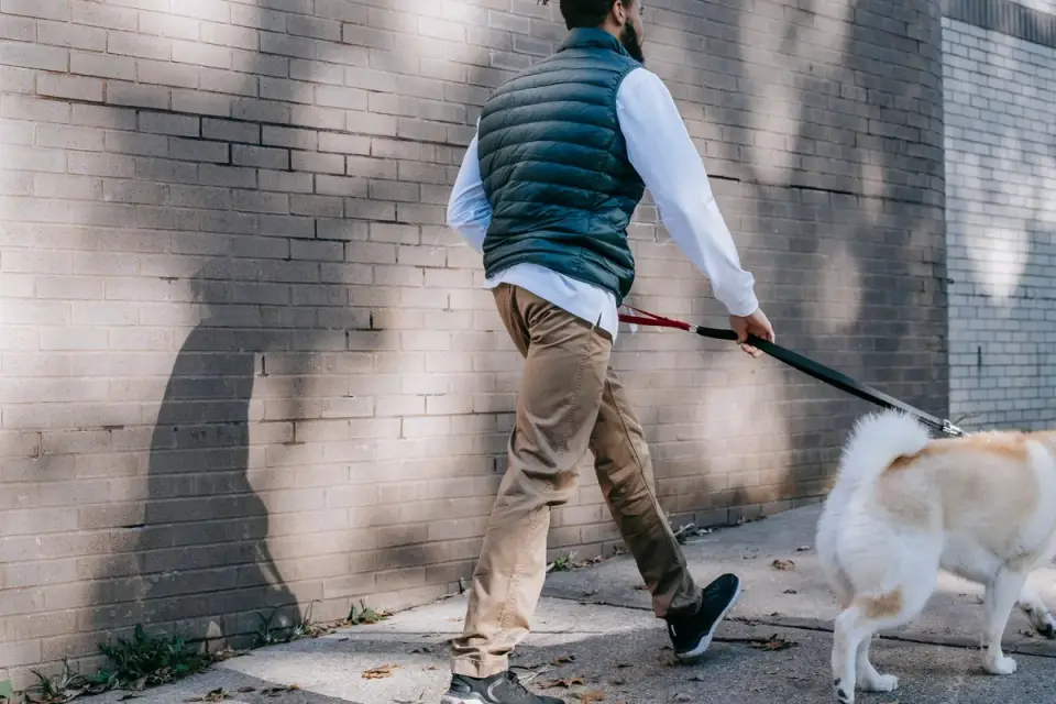 An owner calmly leaving a house while a dog watches from inside