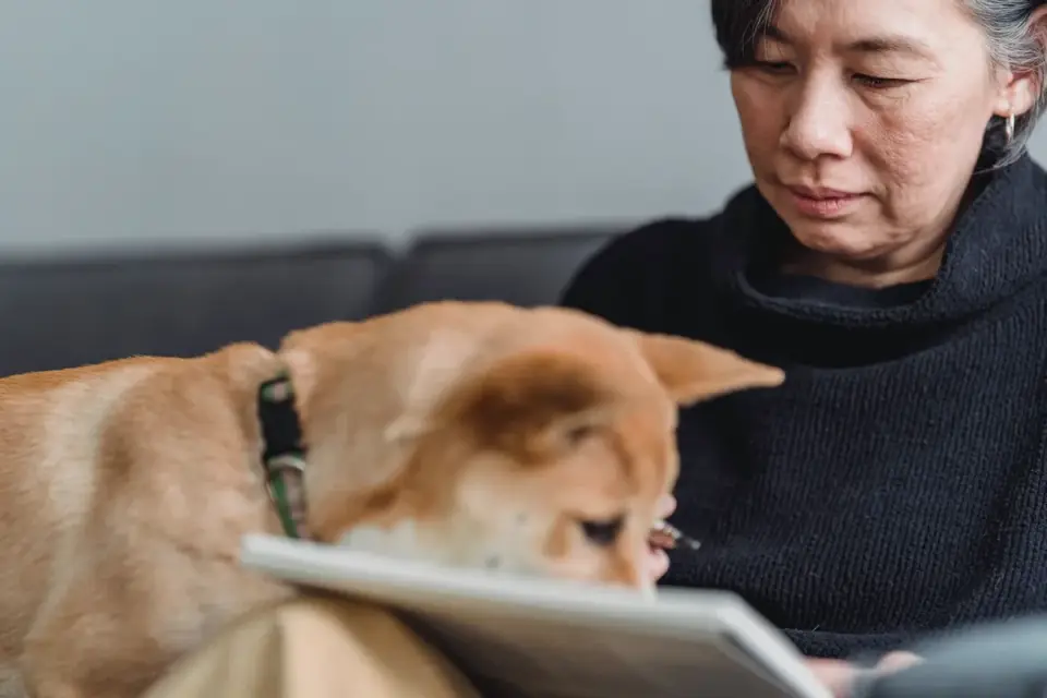 Dog owner reading a supplement label at a kitchen counter