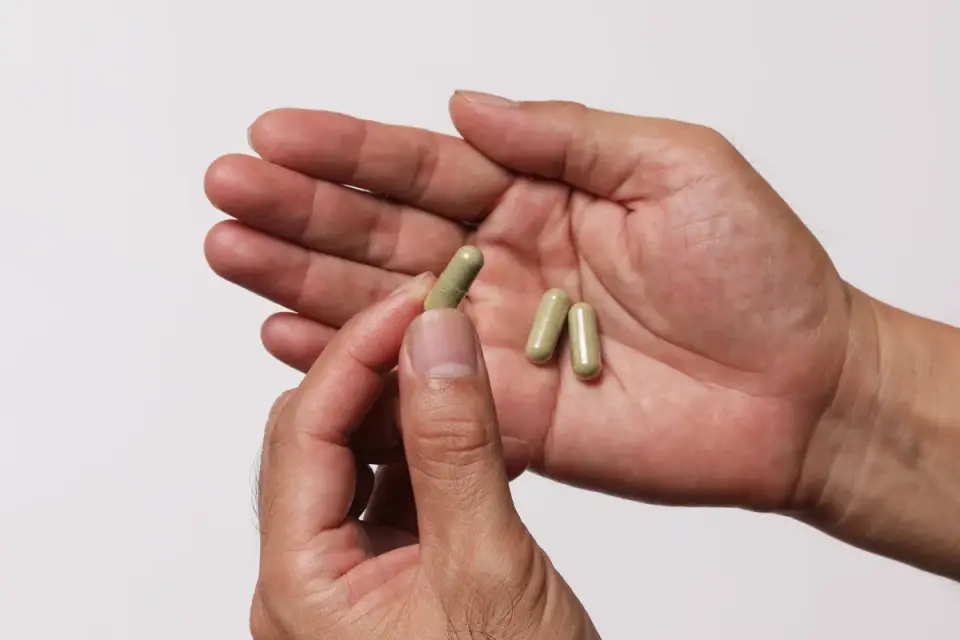 Hands comparing ingredient labels on two dog supplement packages side by side