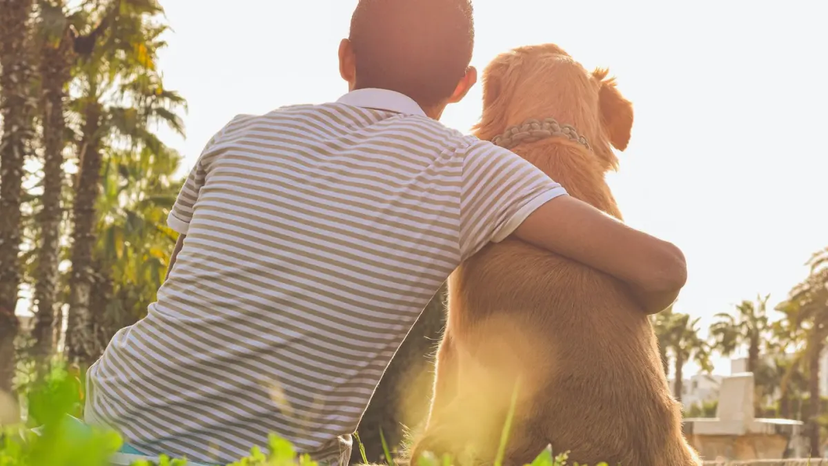 Older dog with an owner in a park