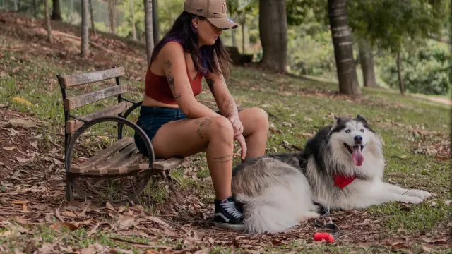 Older dog with an owner in a park