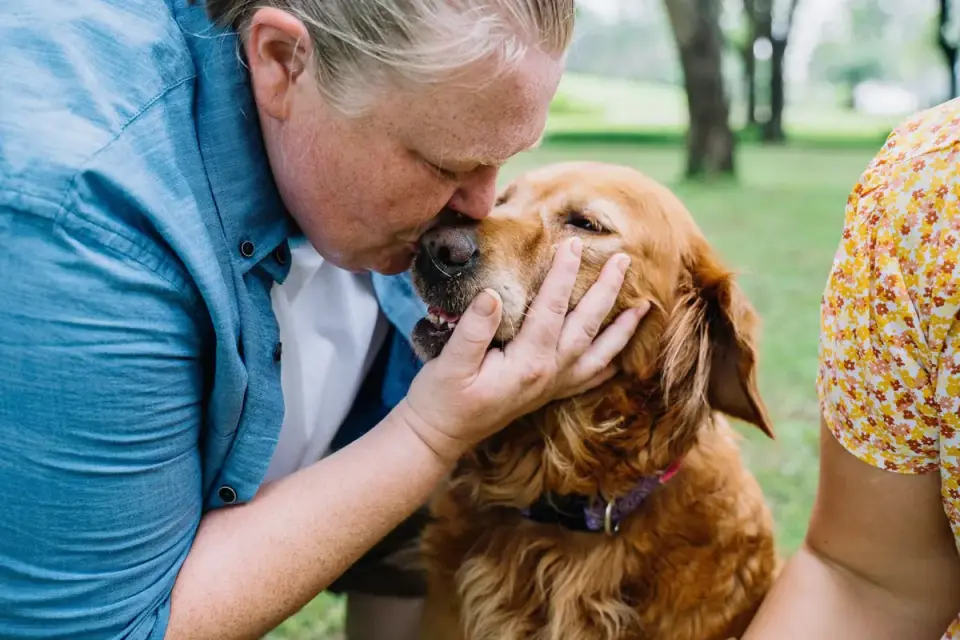 Older dog with an owner in a park