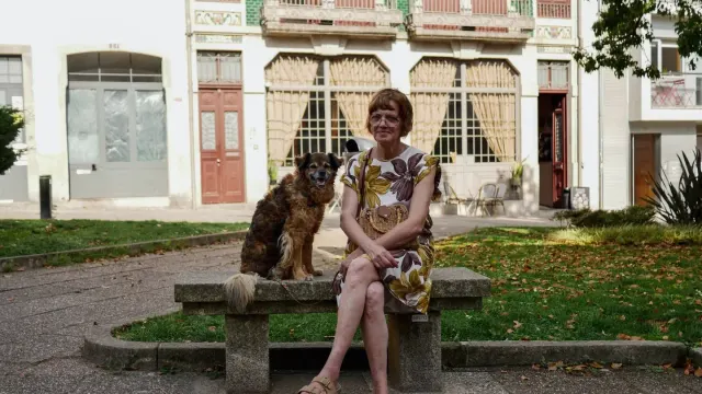 Older dog with an owner in a park