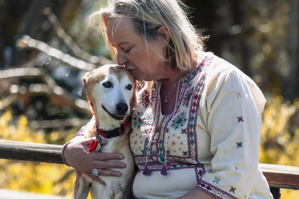 Older dog with an owner in a park